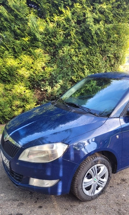 Skoda Fabia cena 12000 przebieg: 444500, rok produkcji 2011 z Tarczyn małe 137